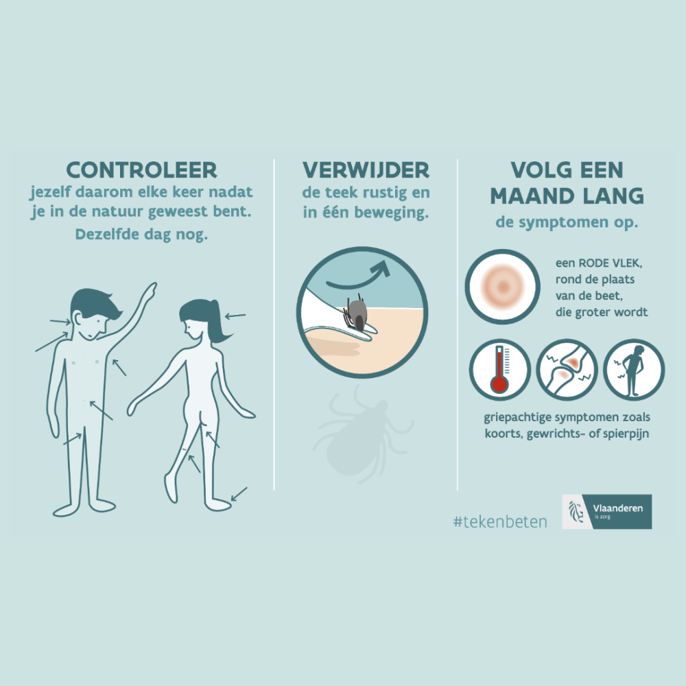 Beige Minimal Info About Us Instagram Post (18)